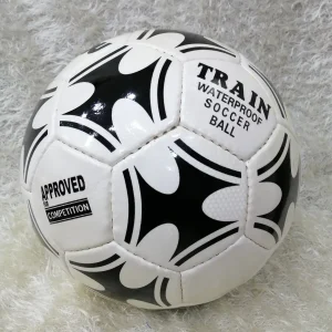 BALLON DE FOOTBALL PROFESSIONNEL