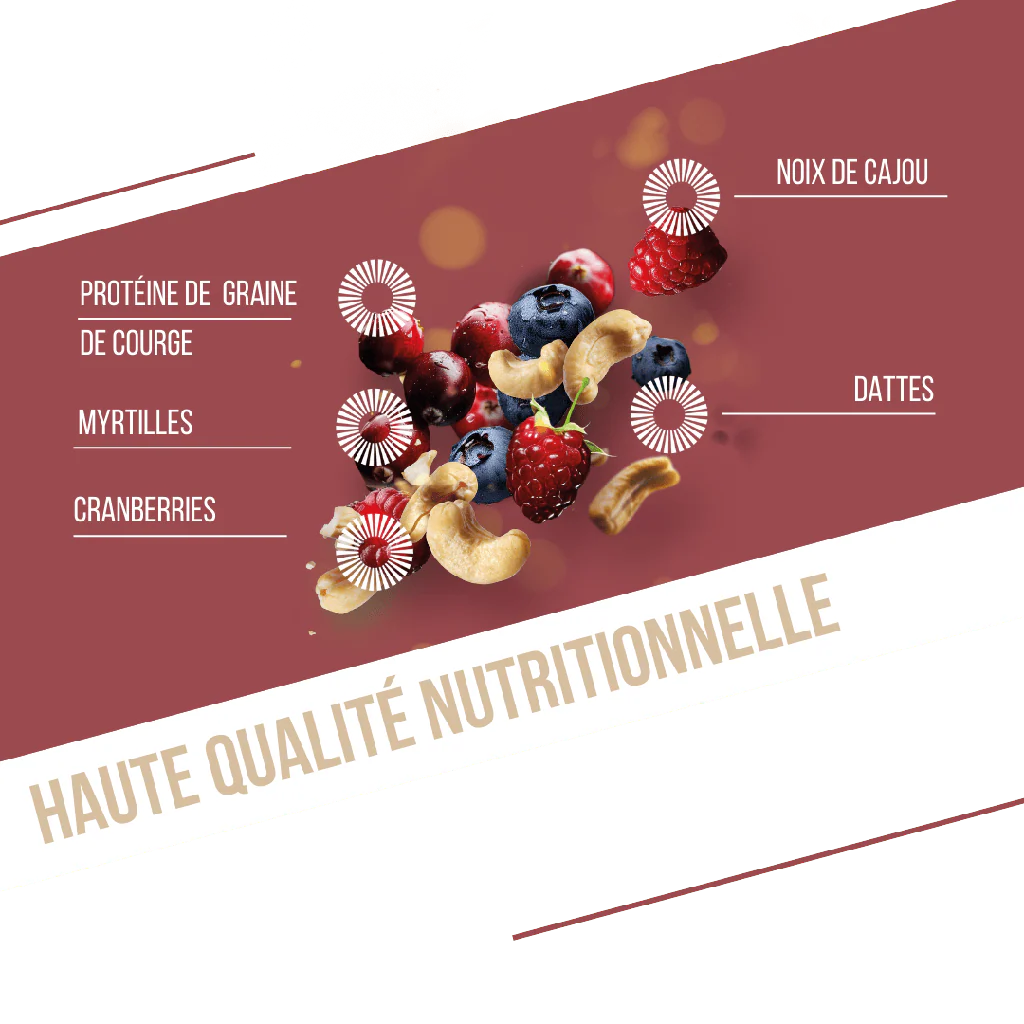 BAOUW - BARRE PROTÉINÉE FRUITS ROUGES CAJOU – Image 4