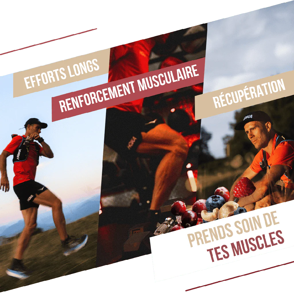 BAOUW - BARRE PROTÉINÉE FRUITS ROUGES CAJOU – Image 6