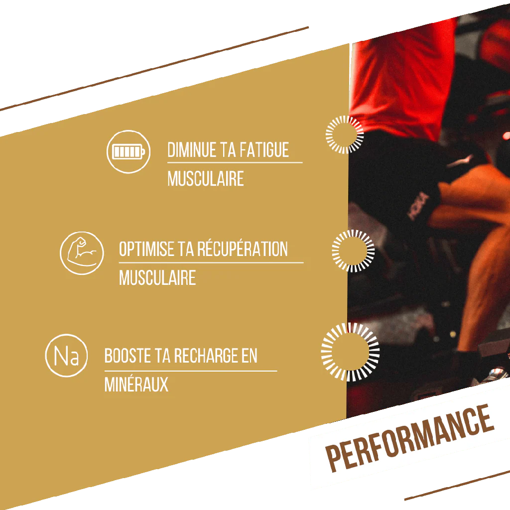 BAOUW - BARRE PROTEINÉE POMME CANNELLE – Image 5