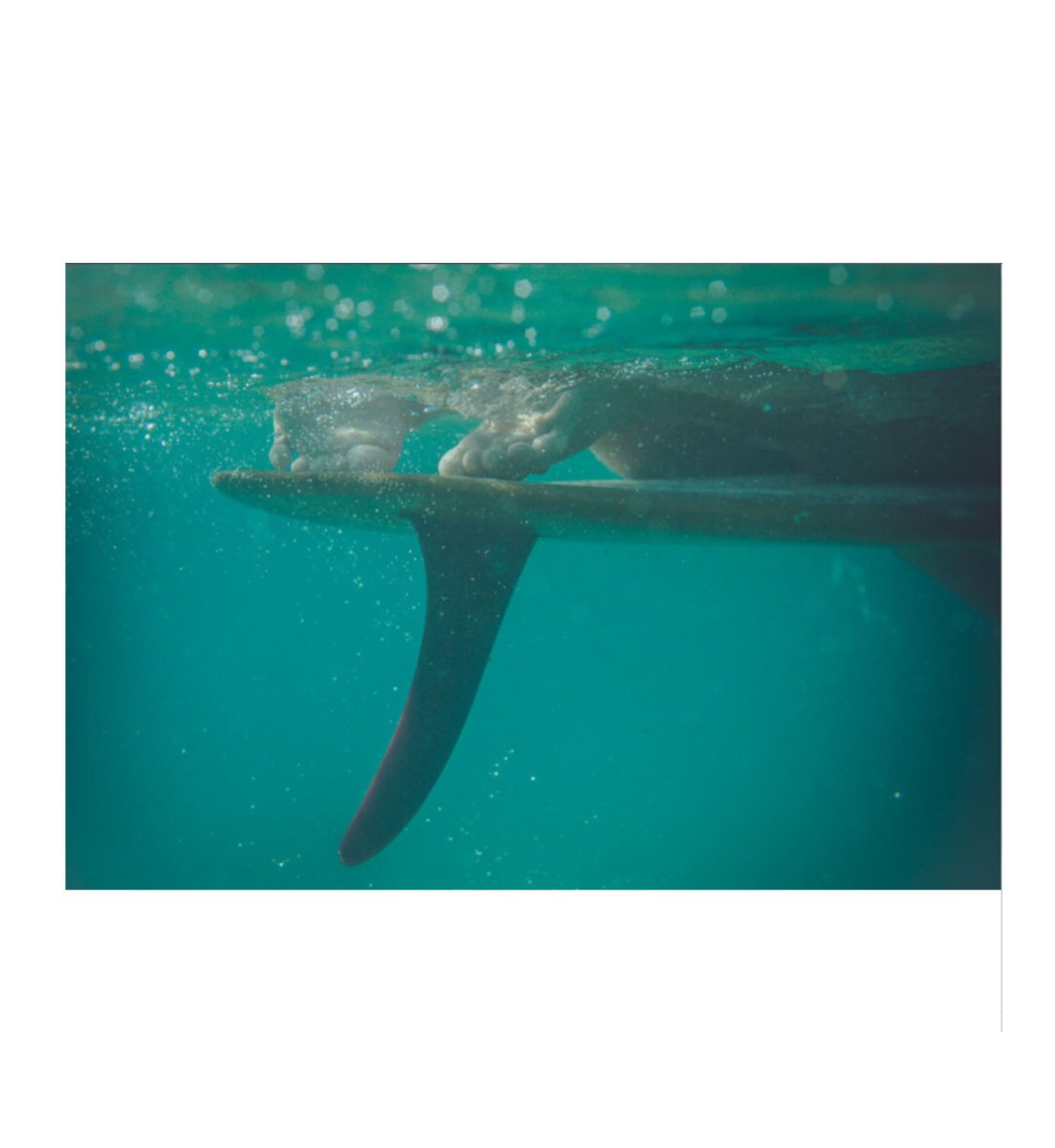 T-Shirt Sen No Sen Single – Image 4